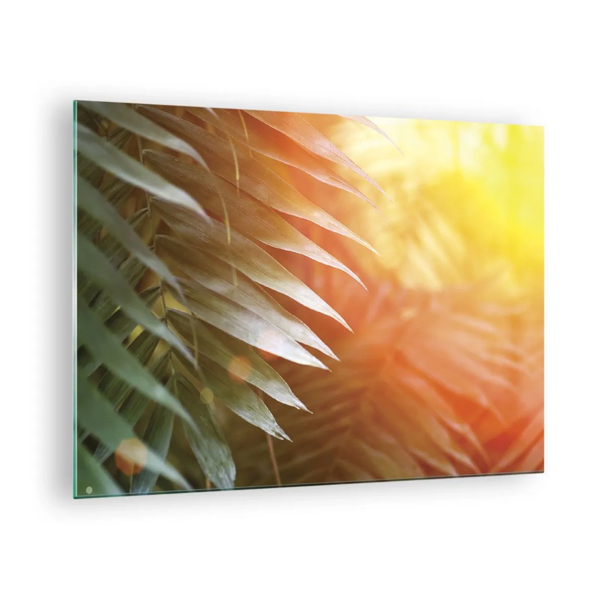 Glass picture - Palm leaves in the glow of the morning sun in a tropical setting - 70x50cm - Morning in the Jungle - Modern wall decoration for the living room and bedroom ARTTOR