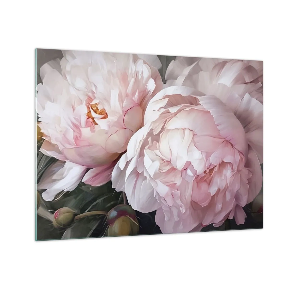 Glass picture - Delicate peonies in a light pink shade in close-up - 70x50cm - Captured in Full Bloom - Modern wall decoration for the living room and bedroom ARTTOR