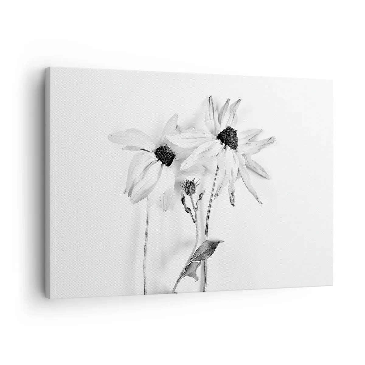 Canvas picture - Black and white flowers with a subtle composition - 70x50cm - No one Wants To Be Alone - Modern wall decoration for the living room and bedroom ARTTOR