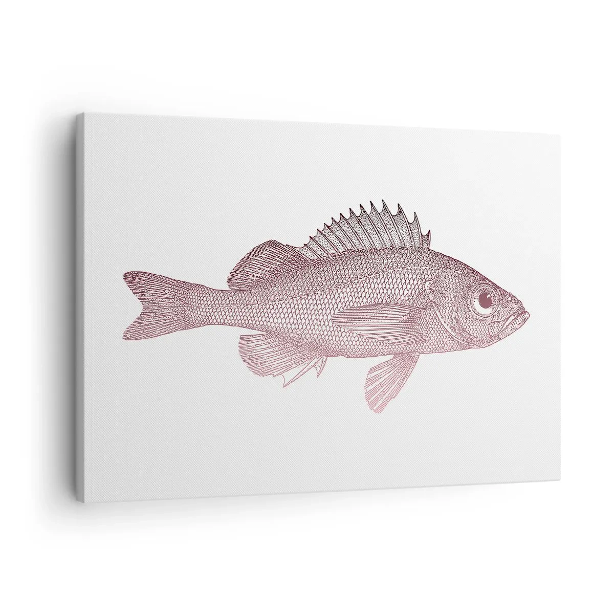 Canvas picture - Detailed illustration of a fish on a white background - 70x50cm - Big-eyed Fish - Modern wall decoration for the living room and bedroom ARTTOR