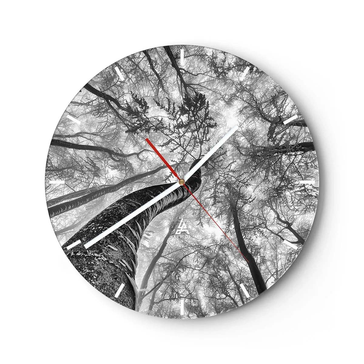 Wall clock - Clock on glass - Black and white view of the treetops from an upward perspective - 30x30cm - Race for the Light - Modern wall decoration for the living room, kitchen, and bedroom ARTTOR
