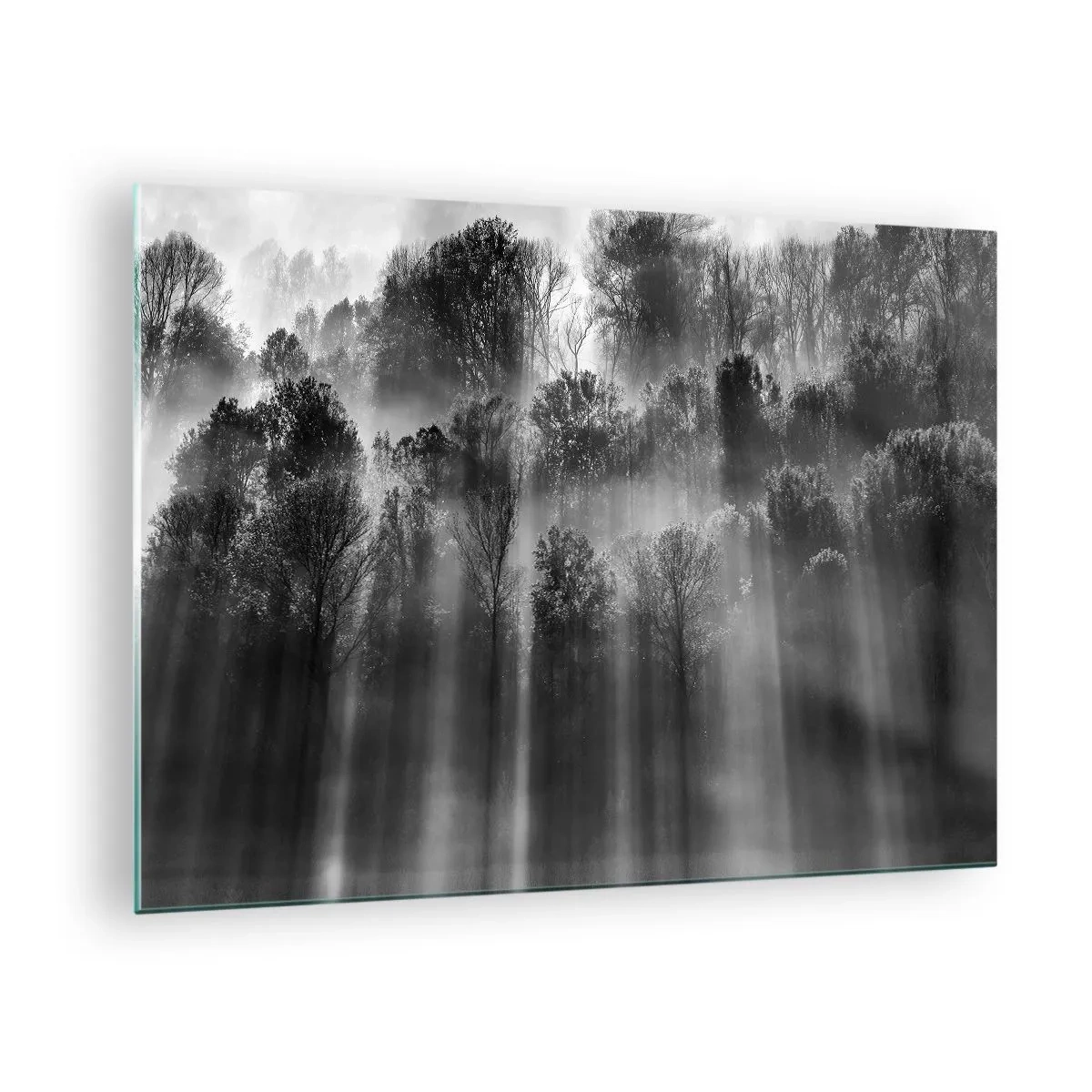Glass picture - Black and white rays of light penetrating the forest - 70x50cm - In the Streams of Light - Modern wall decoration for the living room and bedroom ARTTOR