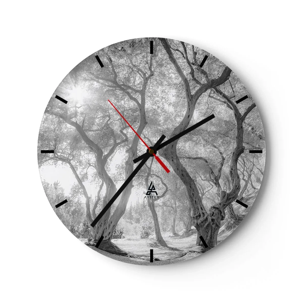 Wall clock - Clock on glass - Black and white trees in the sunlight in the forest - 30x30cm - In an Olive Grove - Modern wall decoration for the living room, kitchen, and bedroom ARTTOR