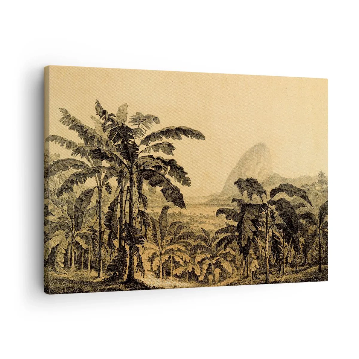 Canvas picture - Drawing of banana trees against a tropical landscape background - 70x50cm - In Colonial Character - Modern wall decoration for the living room and bedroom ARTTOR