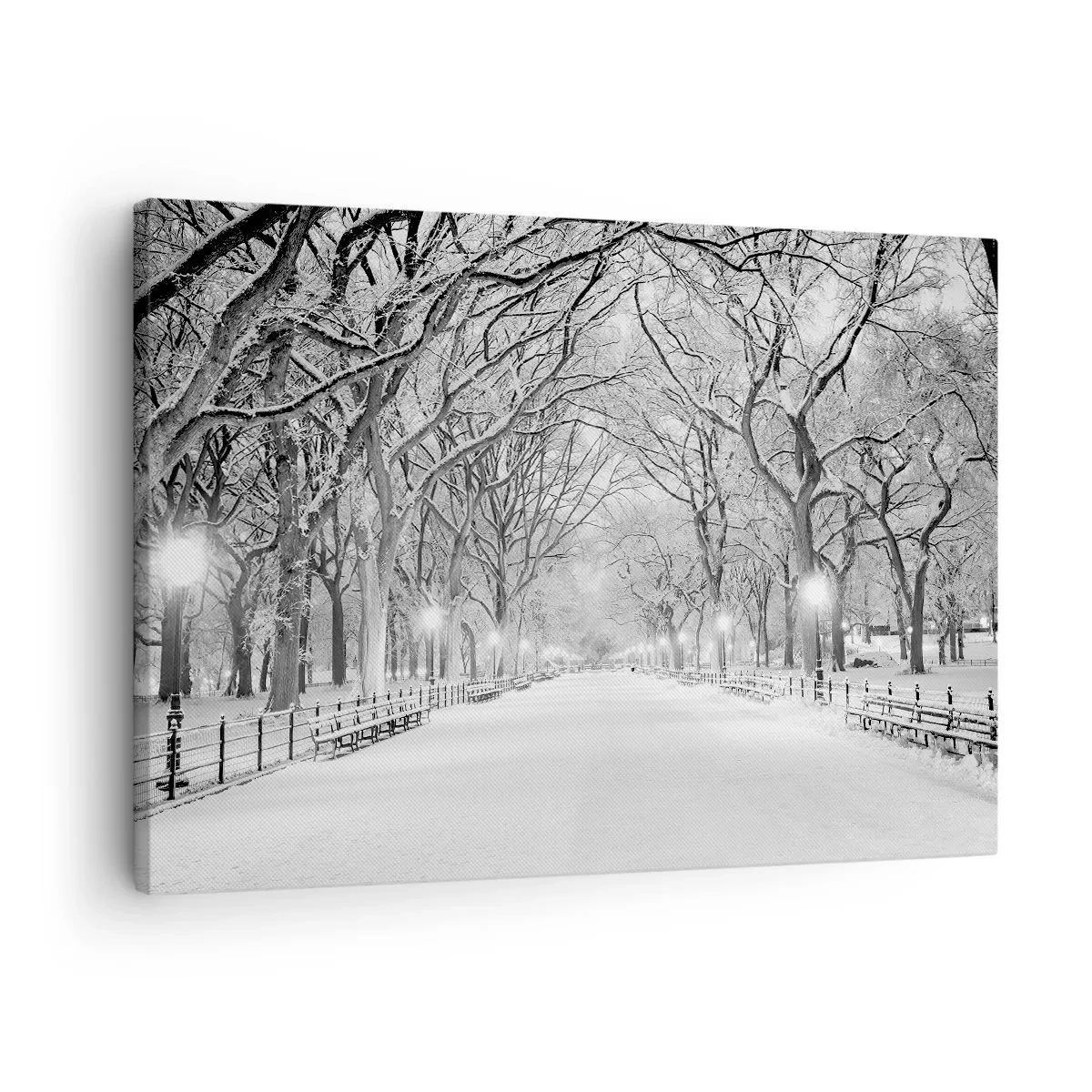 Canvas picture - A winter alley with snow-covered trees in monochrome - 70x50cm - Four Seasons: Winter - Modern wall decoration for the living room and bedroom ARTTOR