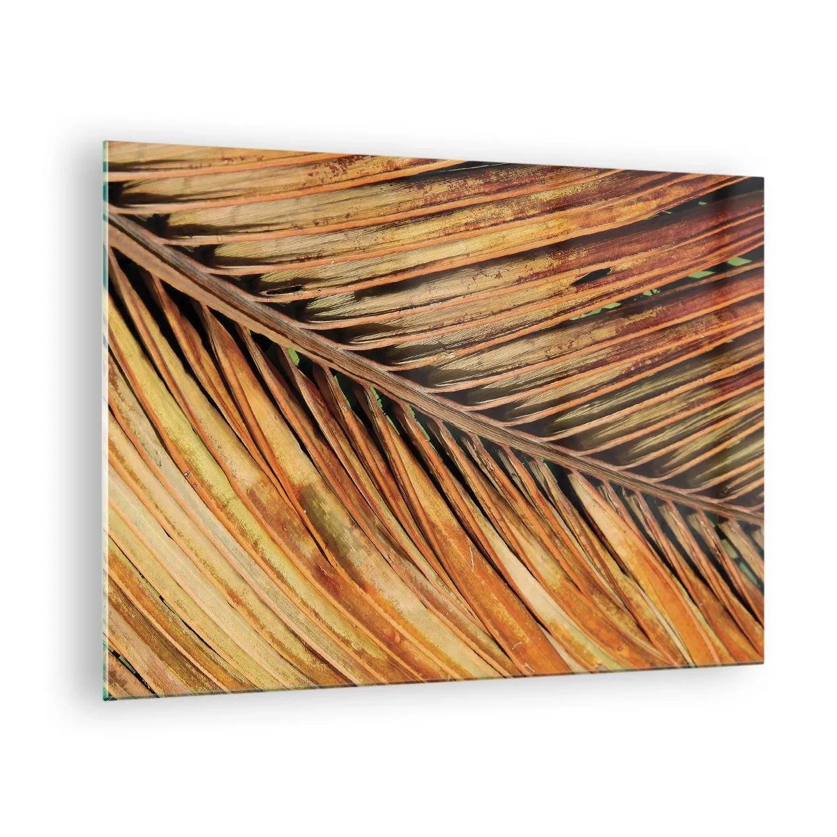 Glass picture - Close-up of dry, golden palm leaves - 70x50cm - Coconut Gold - Modern wall decoration for the living room and bedroom ARTTOR