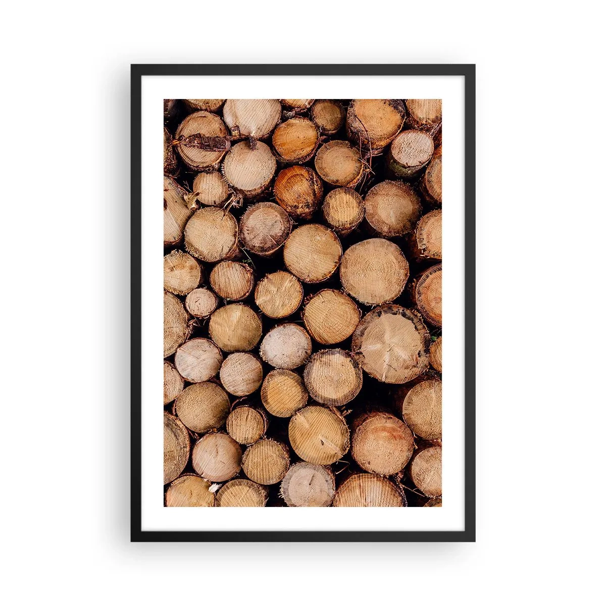 Poster in black frame - Natural cut tree trunks in an artistic arrangement - 50x70cm - New Beginning - Modern wall decoration for the living room and bedroom ARTTOR