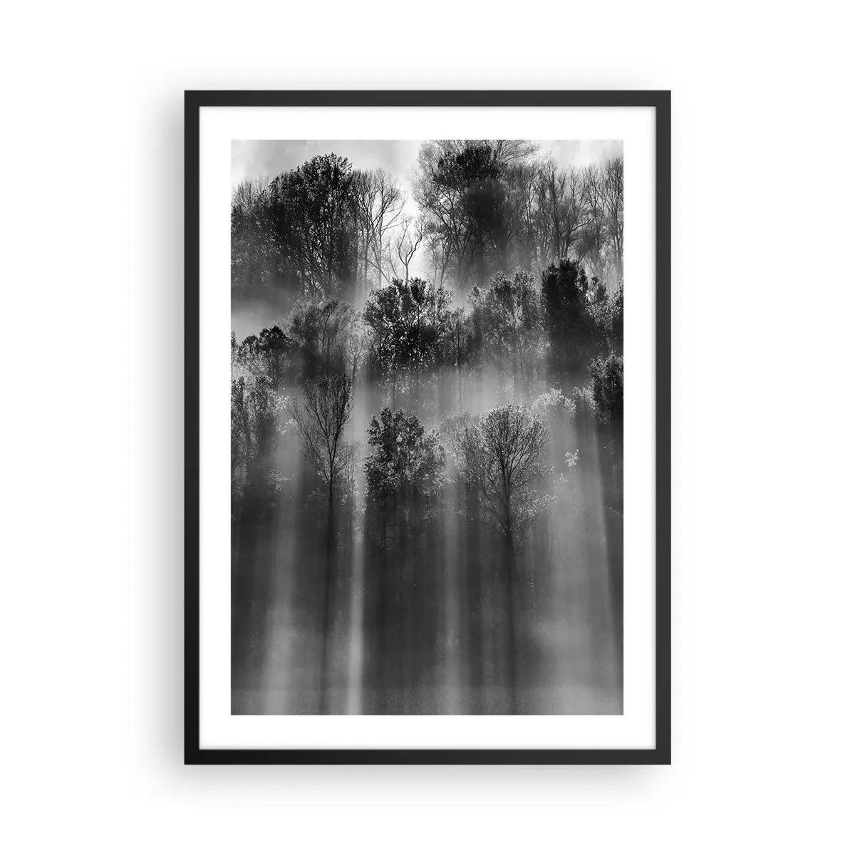 Poster in black frame - Black and white forest in the fog with sun rays - 50x70cm - In the Streams of Light - Modern wall decoration for the living room and bedroom ARTTOR
