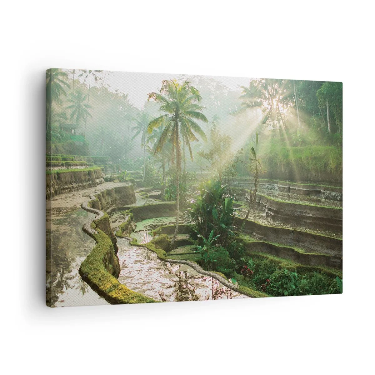 Canvas picture - Rice terraces with palm trees in the sun's rays - 70x50cm - Maturing in the Sun - Modern wall decoration for the living room and bedroom ARTTOR
