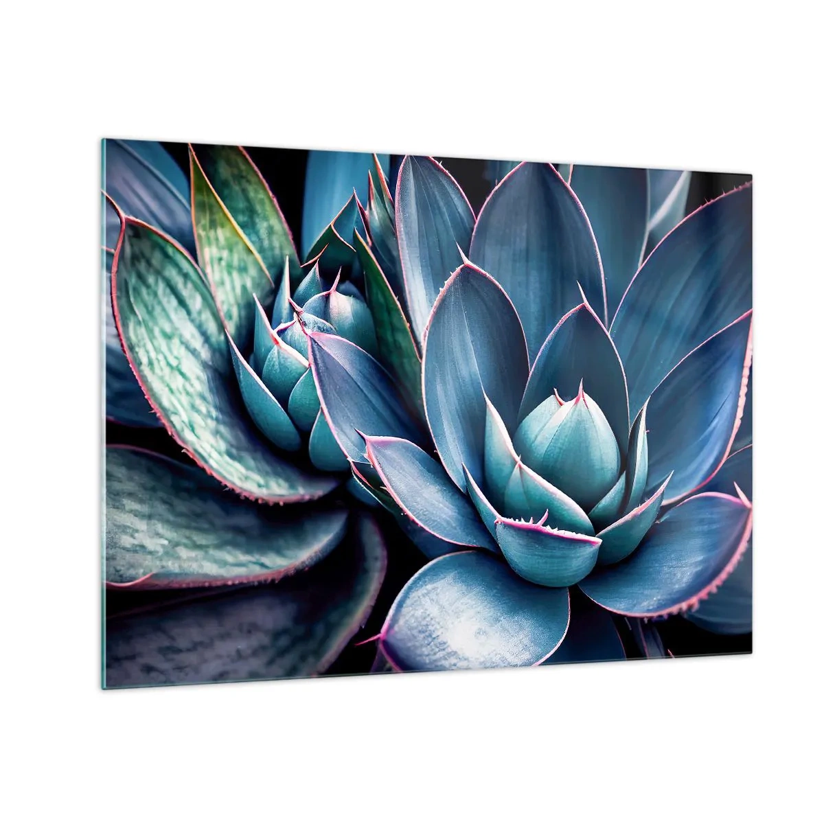 Glass picture - Close-up of the lush green leaves of succulents - 70x50cm - Vital Strength - Modern wall decoration for the living room and bedroom ARTTOR