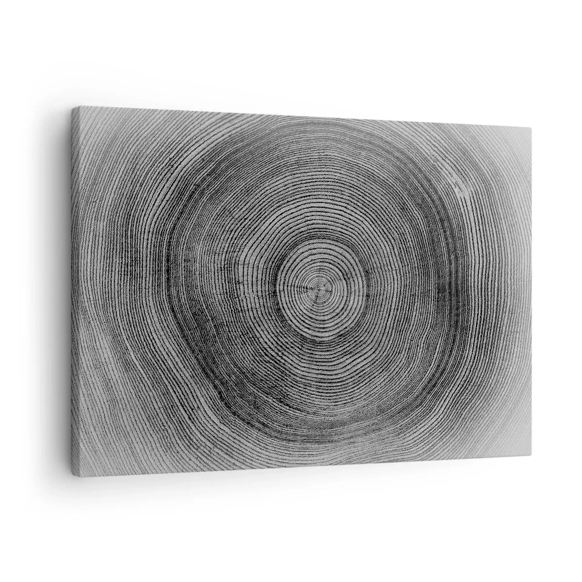 Canvas picture - Black and white tree ring pattern showing a cross-section of the trunk - 70x50cm - Sign of the Time - Modern wall decoration for the living room and bedroom ARTTOR