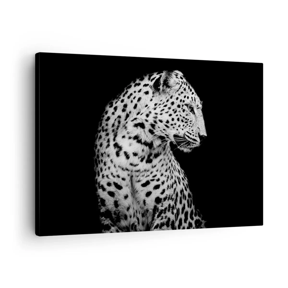 Canvas picture - Black and white image of a leopard on a black background - 70x50cm - A Perfect Right Profile - Modern wall decoration for the living room and bedroom ARTTOR