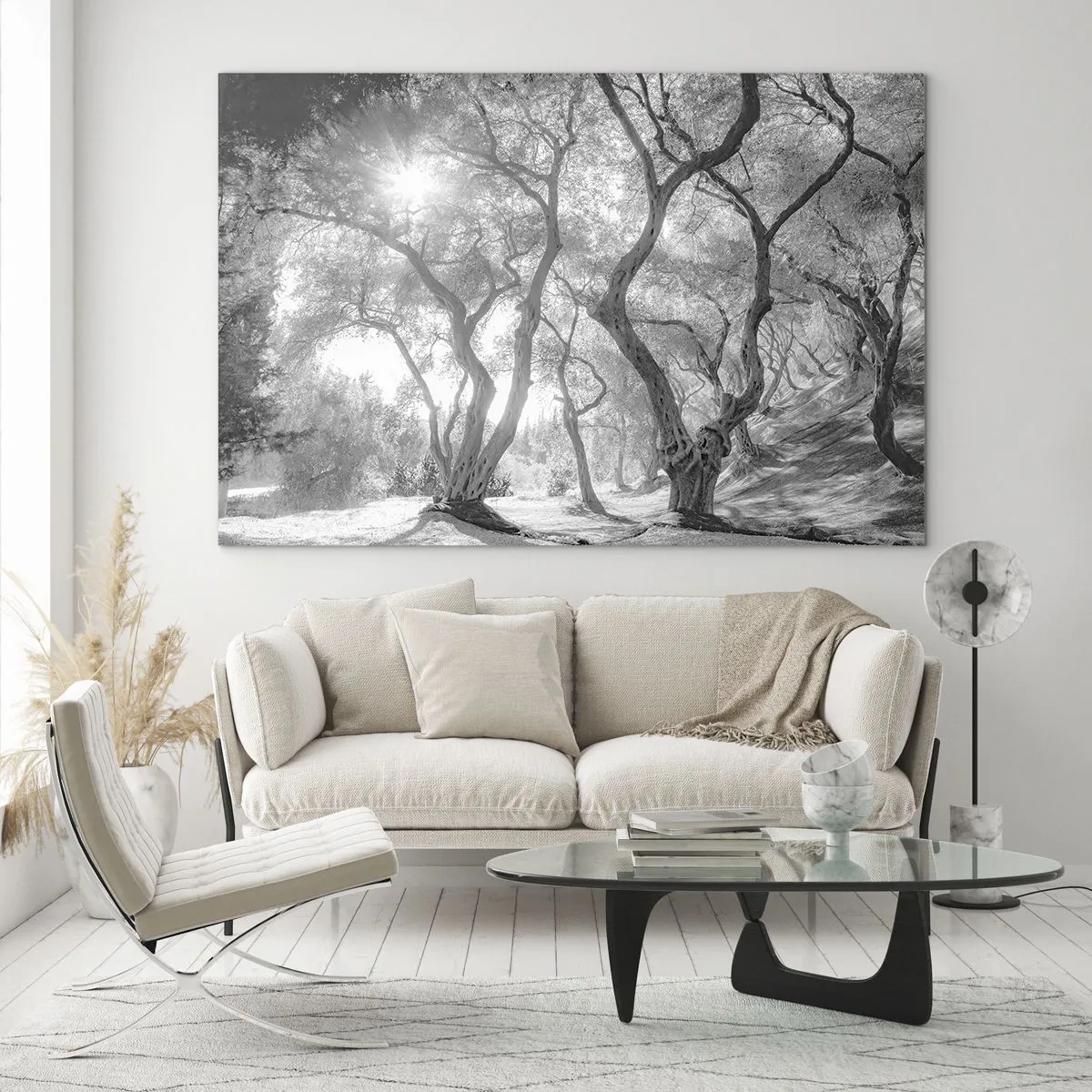 Glass picture - Black and white olive trees in sunlight - 70x50cm - In an Olive Grove - Modern wall decoration for the living room and bedroom ARTTOR