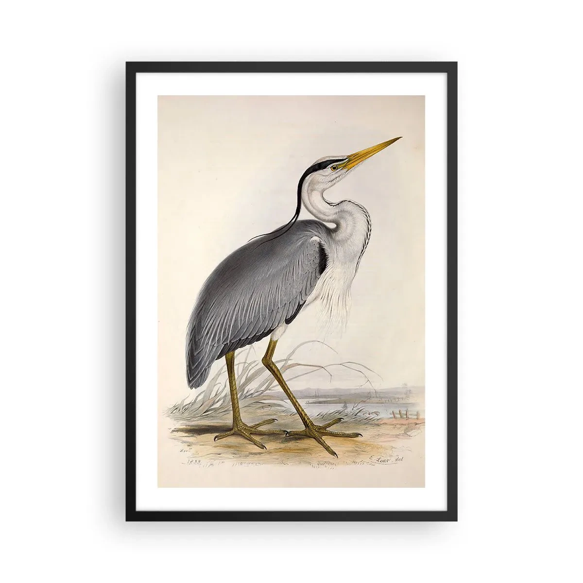 Poster in black frame - Heron's Grace - 50x70cm - Charm of a Heron - Modern wall decoration for the living room and bedroom ARTTOR