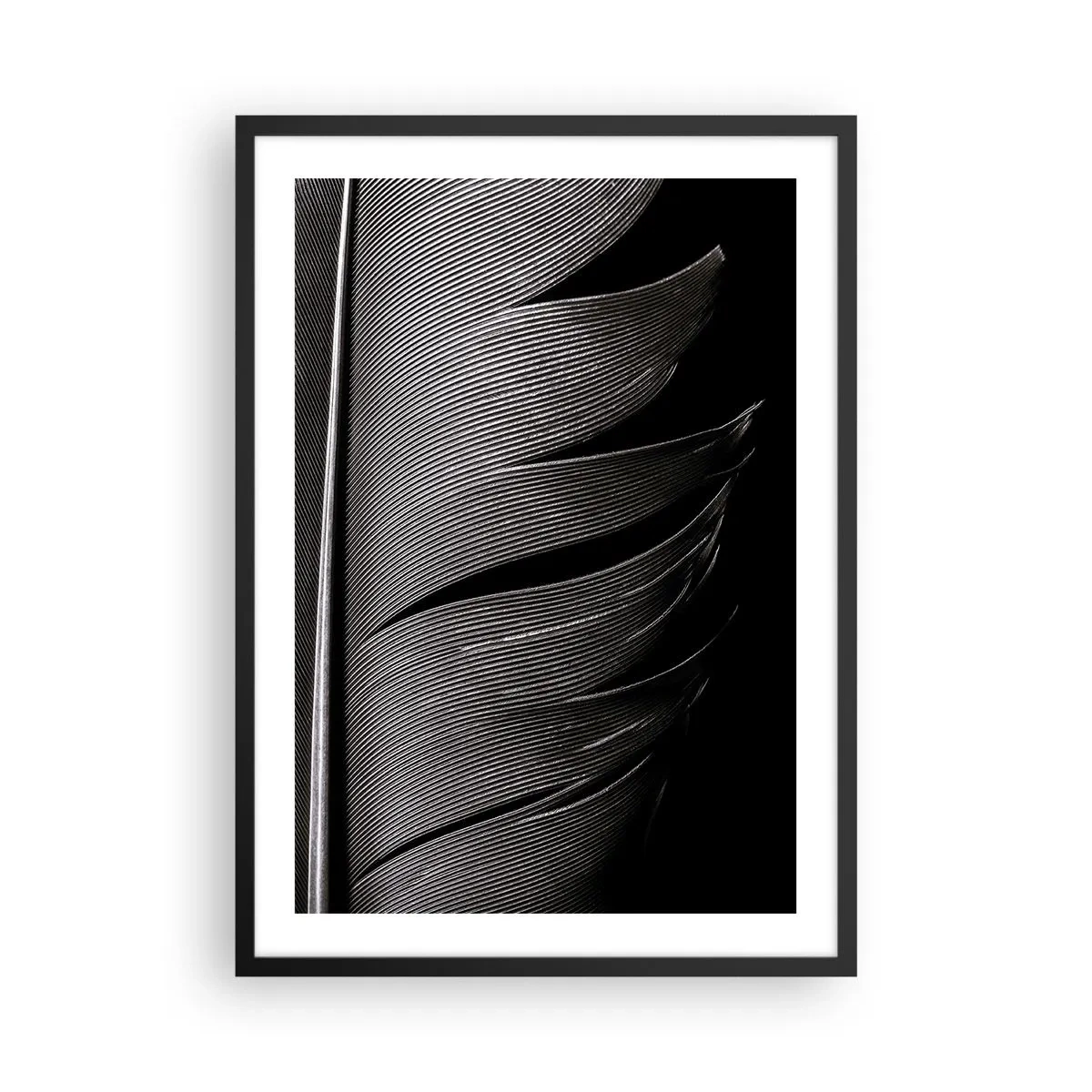 Poster in black frame - A minimalistic take on a feather in black and white - 50x70cm - Feather - Wonderful Constract - Modern wall decoration for the living room and bedroom ARTTOR