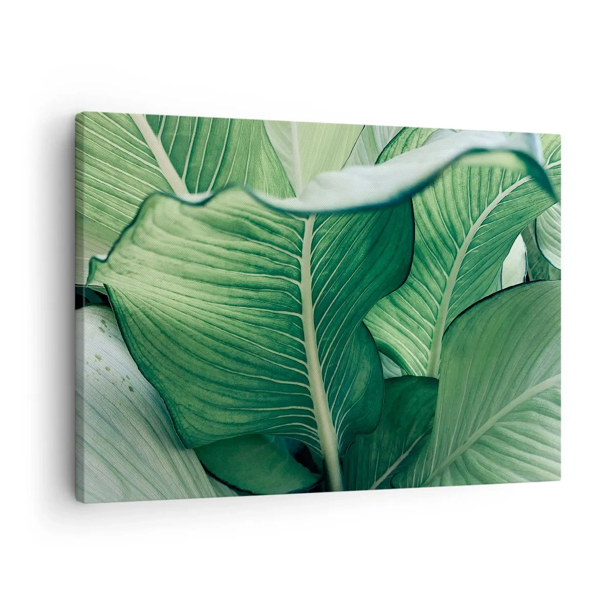 Canvas picture - Green leaves with expressive details and structure - 70x50cm - Life in Intense Green Colour - Modern wall decoration for the living room and bedroom ARTTOR