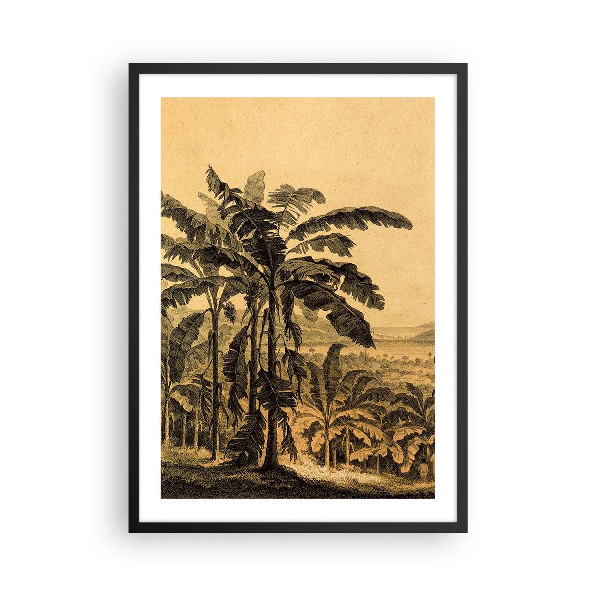 Poster in black frame - Illustration of palm trees against a tropical landscape background - 50x70cm - In Colonial Character - Modern wall decoration for the living room and bedroom ARTTOR