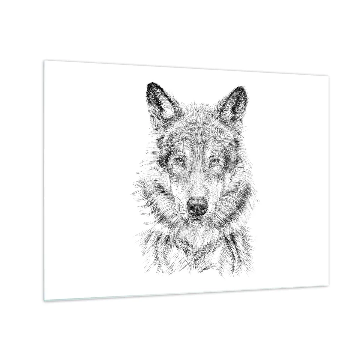 Glass picture - Black and white sketch of a wolf's head on a white background - 70x50cm - Born Leader - Modern wall decoration for the living room and bedroom ARTTOR
