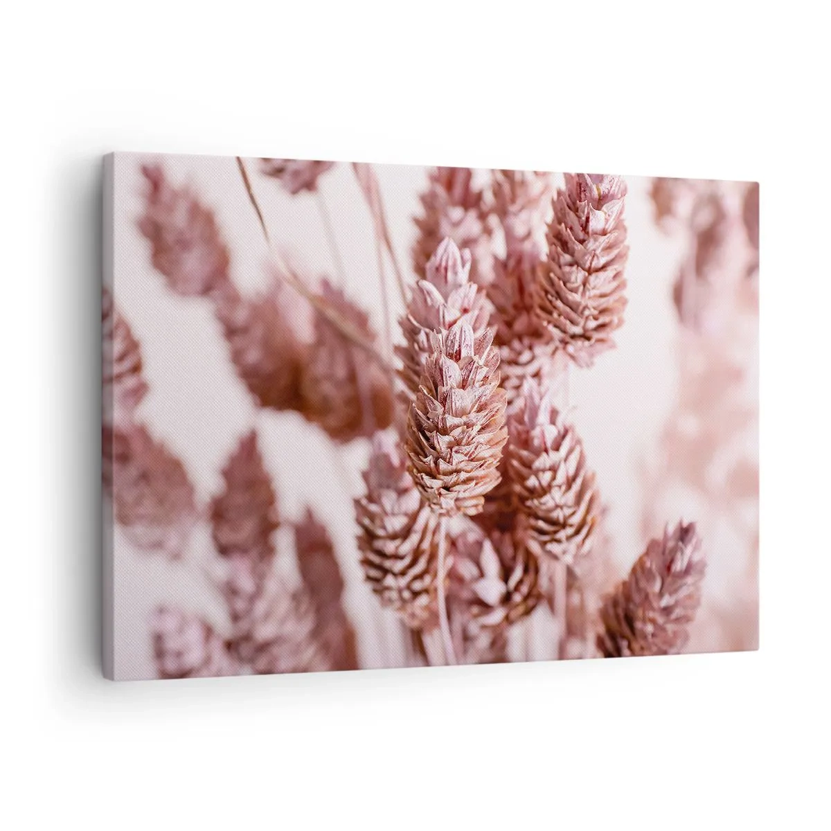 Canvas picture - A close-up of the delicate pink spikes of ornamental grasses - 70x50cm - Seemingly Inconspicuos - Modern wall decoration for the living room and bedroom ARTTOR