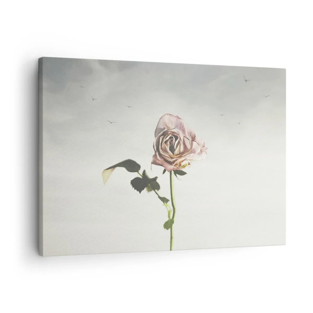Canvas picture - A delicate rose against a bright sky with flying birds - 70x50cm - Welcoming of Spring - Modern wall decoration for the living room and bedroom ARTTOR