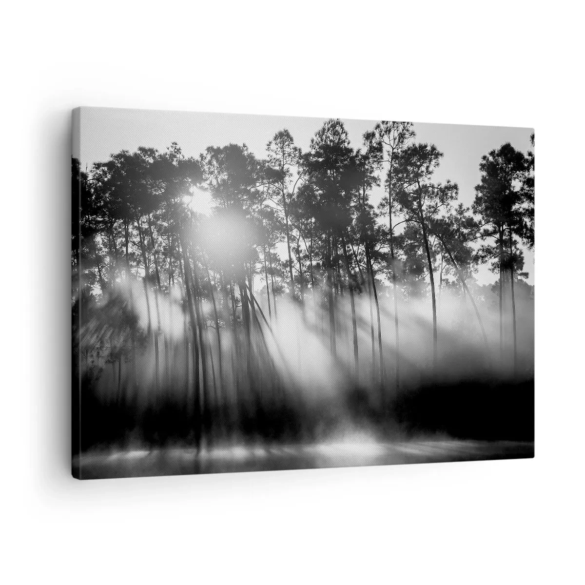 Canvas picture - Black and white forest in the morning fog - 70x50cm - Unstoppable Sun - Modern wall decoration for the living room and bedroom ARTTOR
