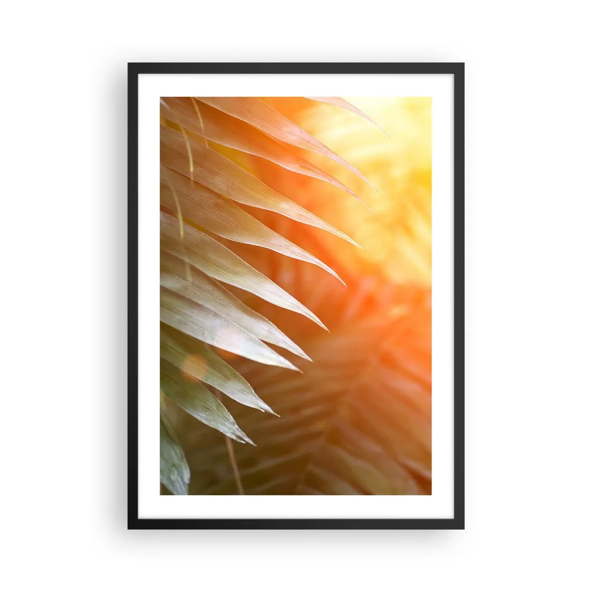 Poster in black frame - Palm leaves in the light of the setting sun - 50x70cm - Morning in the Jungle - Modern wall decoration for the living room and bedroom ARTTOR