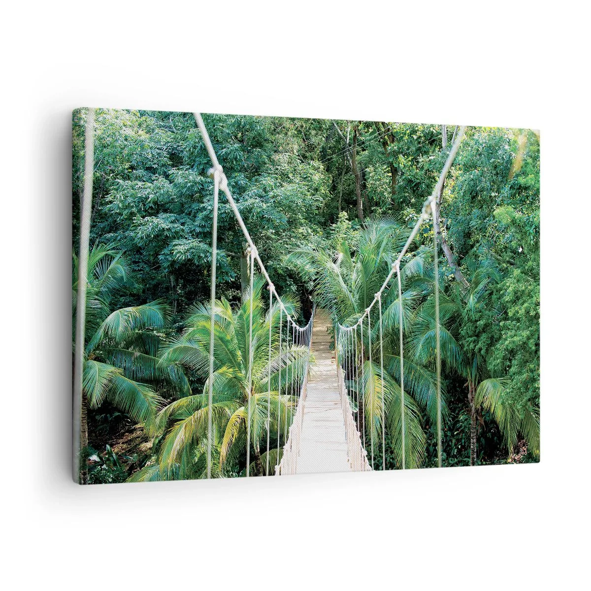 Canvas picture - A hanging bridge in a tropical jungle full of greenery - 70x50cm - Welcome to the Jungle! - Modern wall decoration for the living room and bedroom ARTTOR