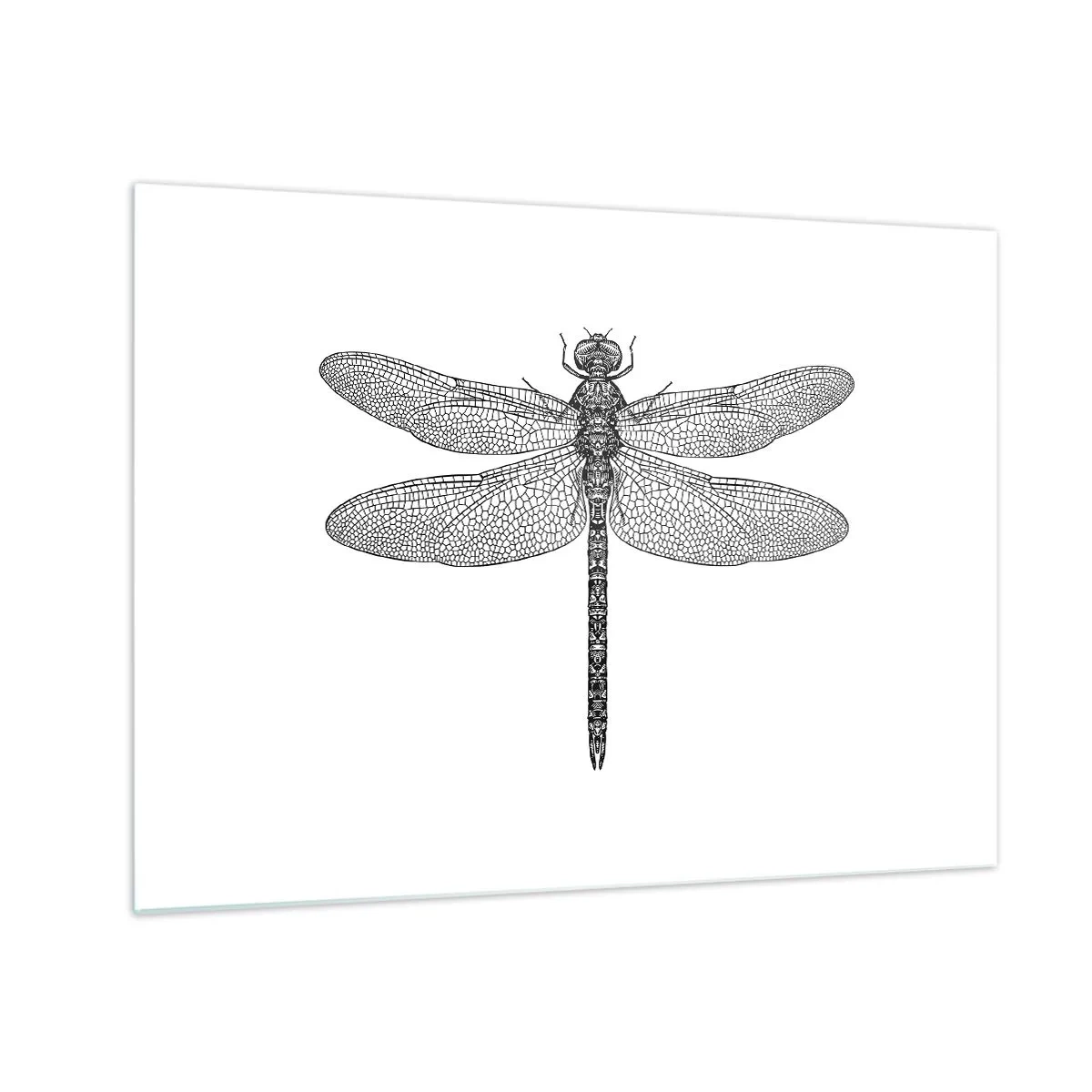 Glass picture - Detailed illustration of a dragonfly in an engraving style on a white background - 70x50cm - Precision of Nature - Modern wall decoration for the living room and bedroom ARTTOR