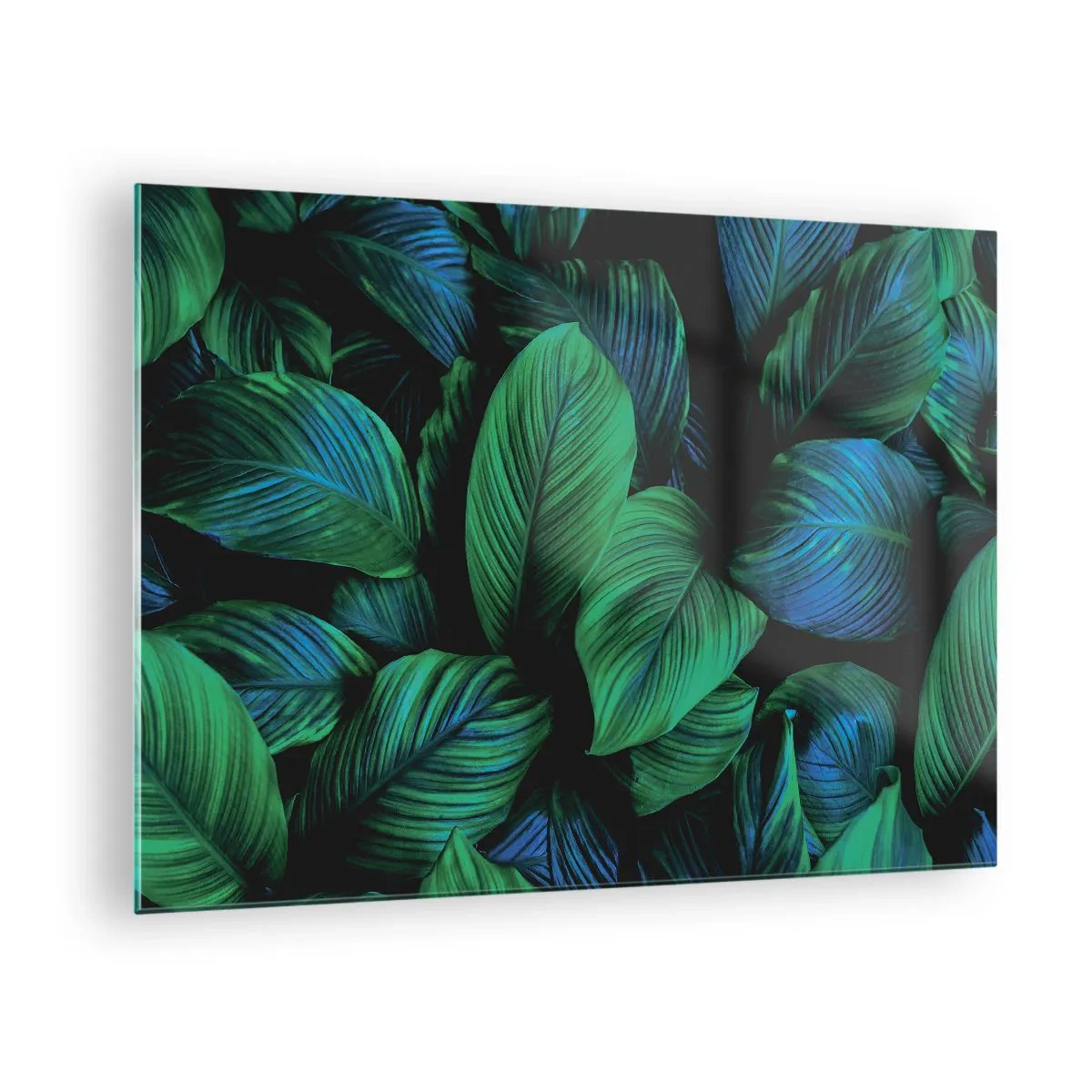 Glass picture - Close-up of leaves in intense shades of green - 70x50cm - In a Green Crowd - Modern wall decoration for the living room and bedroom ARTTOR