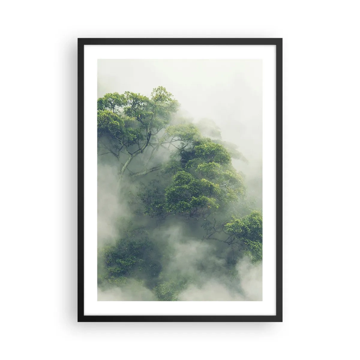 Poster in black frame - Green treetops hidden in thick, mysterious fog - 50x70cm - Wrapped In Fog - Modern wall decoration for the living room and bedroom ARTTOR
