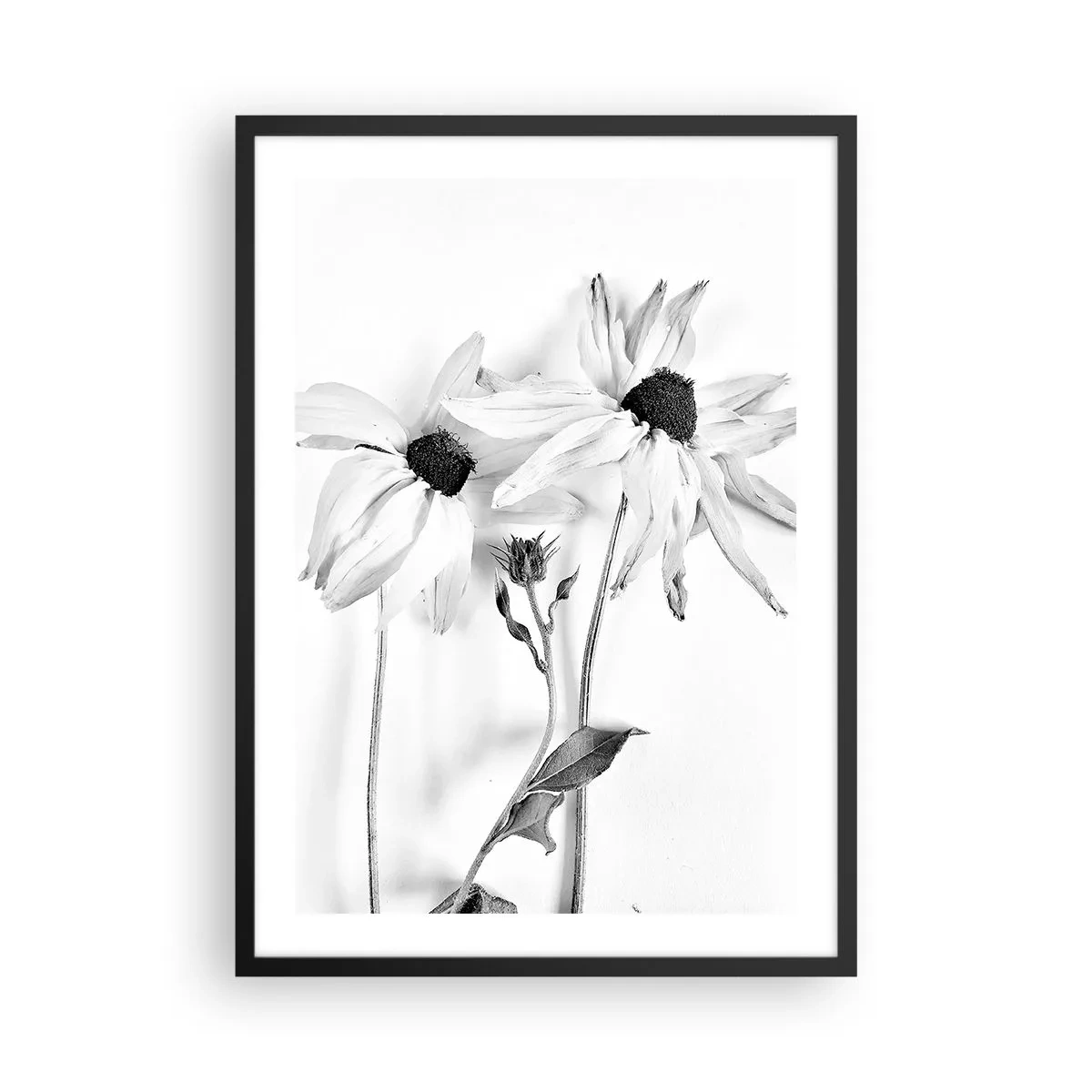Poster in black frame - Black and white flowers in a minimalist style on a light background - 50x70cm - No one Wants To Be Alone - Modern wall decoration for the living room and bedroom ARTTOR