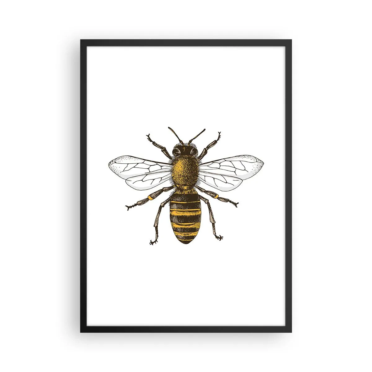 Poster in black frame - Vintage bee detail illustration - 50x70cm - Beautiful and Good - Modern wall decoration for the living room and bedroom ARTTOR