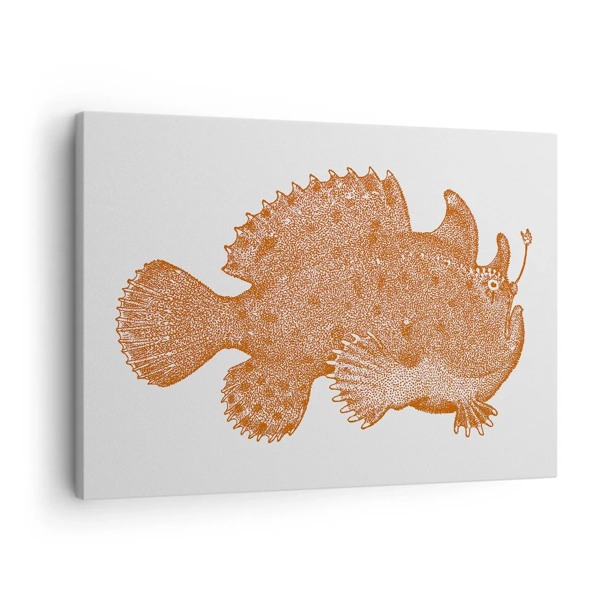 Canvas picture - Detailed drawing of a copper-colored fish on a white background - 70x50cm - Fish after All - Modern wall decoration for the living room and bedroom ARTTOR
