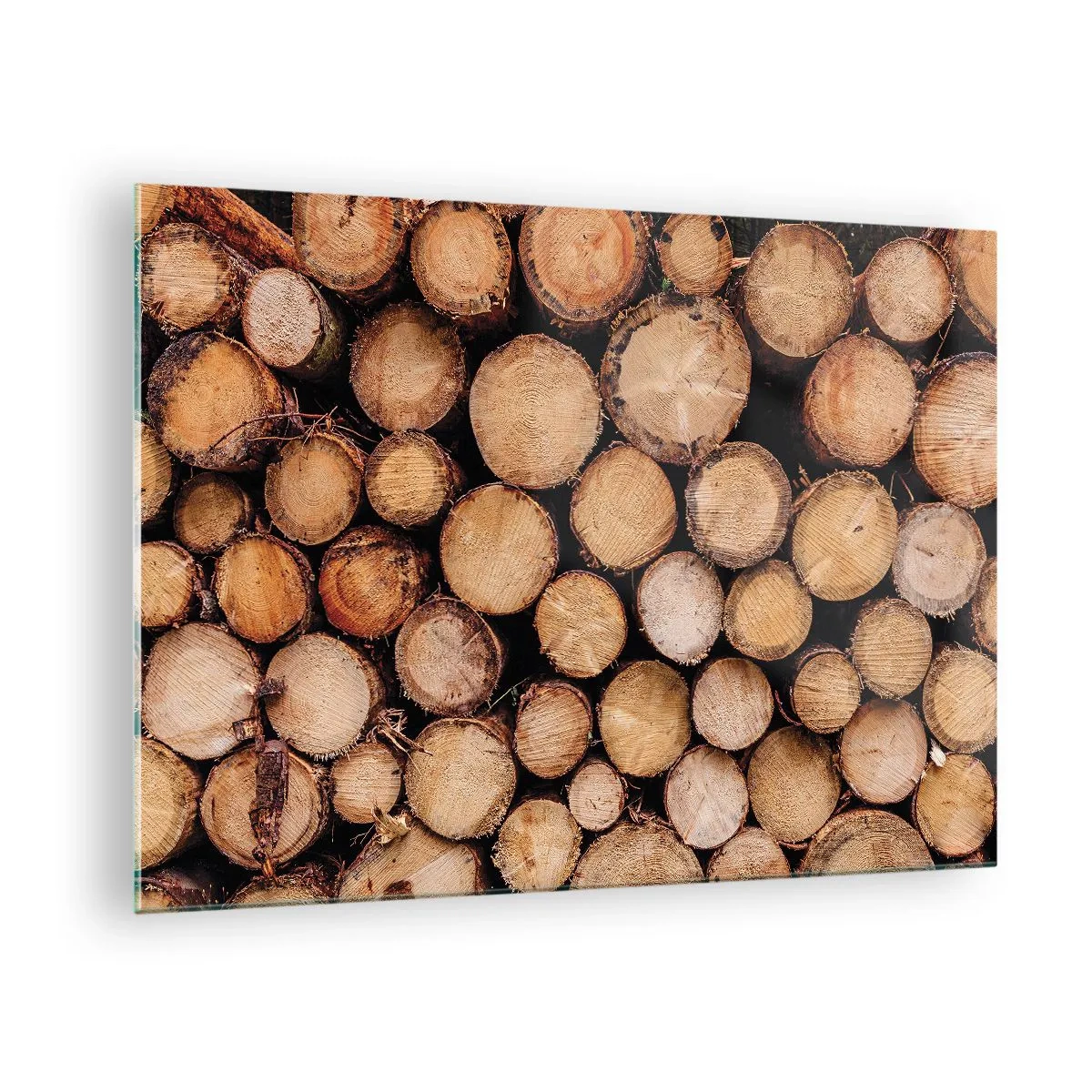 Glass picture - Vertically arranged tree trunks with visible growth rings - 70x50cm - New Beginning - Modern wall decoration for the living room and bedroom ARTTOR
