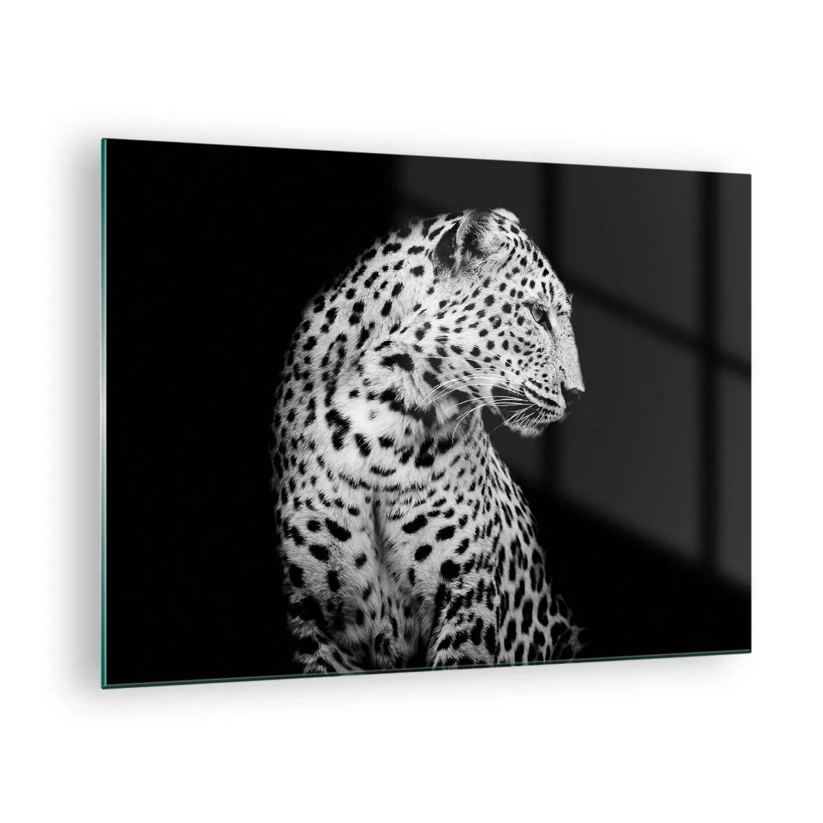 Glass picture - A leopard in black and white light against a window - 70x50cm - A Perfect Right Profile - Modern wall decoration for the living room and bedroom ARTTOR