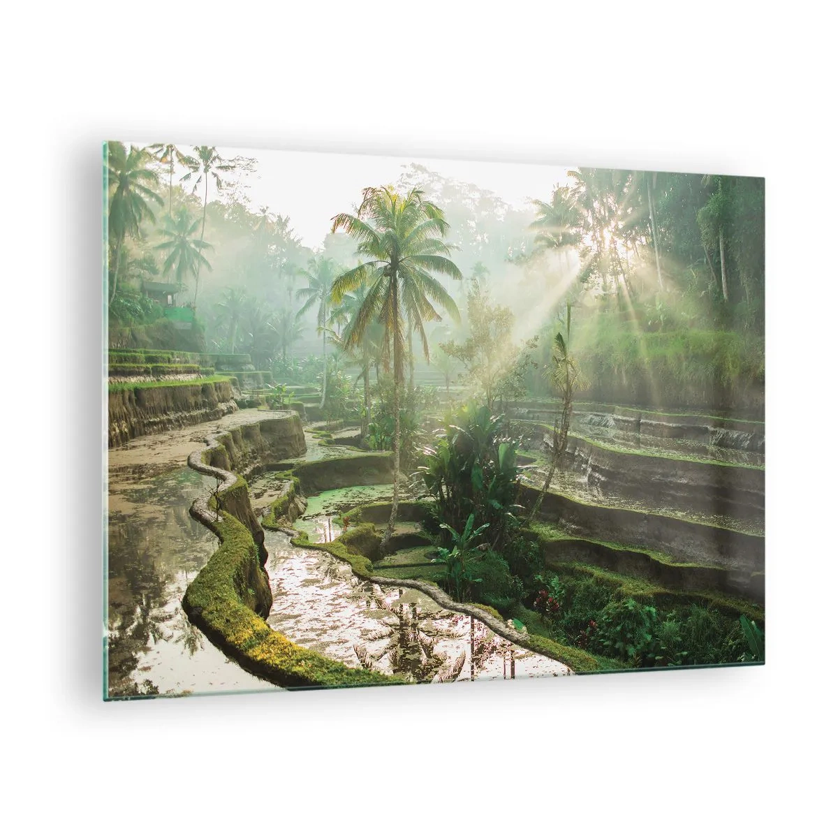 Glass picture - Tropical rice paddies with palm trees in the morning mist - 70x50cm - Maturing in the Sun - Modern wall decoration for the living room and bedroom ARTTOR