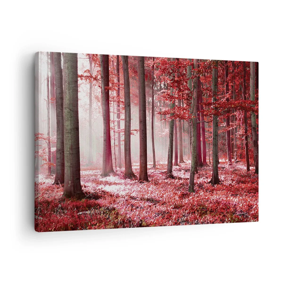 Canvas picture - A stunning forest in red hues with rays of light penetrating through the trees - 70x50cm - Red Equally Beautiful - Modern wall decoration for the living room and bedroom ARTTOR