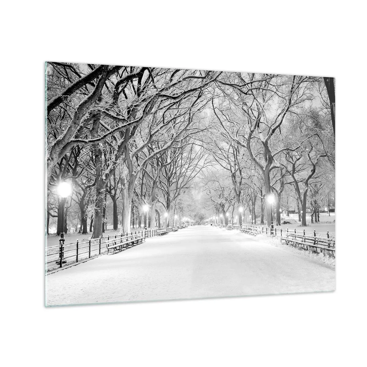 Glass picture - Winter tree alley in the park with lights and snow - 70x50cm - Four Seasons: Winter - Modern wall decoration for the living room and bedroom ARTTOR