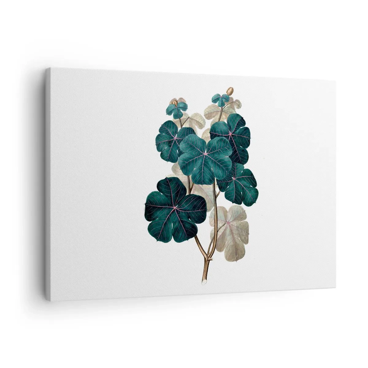 Canvas picture - Botanical illustration with leaves in shades of green and beige - 70x50cm - From the Old Herbarium - Modern wall decoration for the living room and bedroom ARTTOR