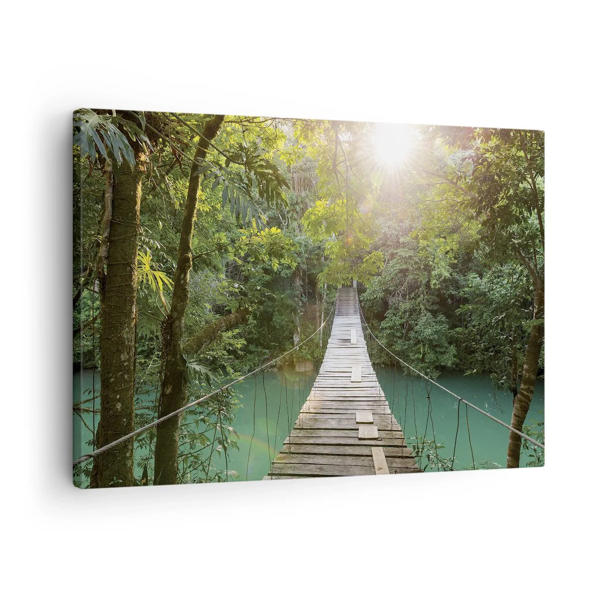 Canvas picture - A hanging bridge in a tropical forest illuminated by sunlight. - 70x50cm - Azure Water in Azure Forest - Modern wall decoration for the living room and bedroom ARTTOR