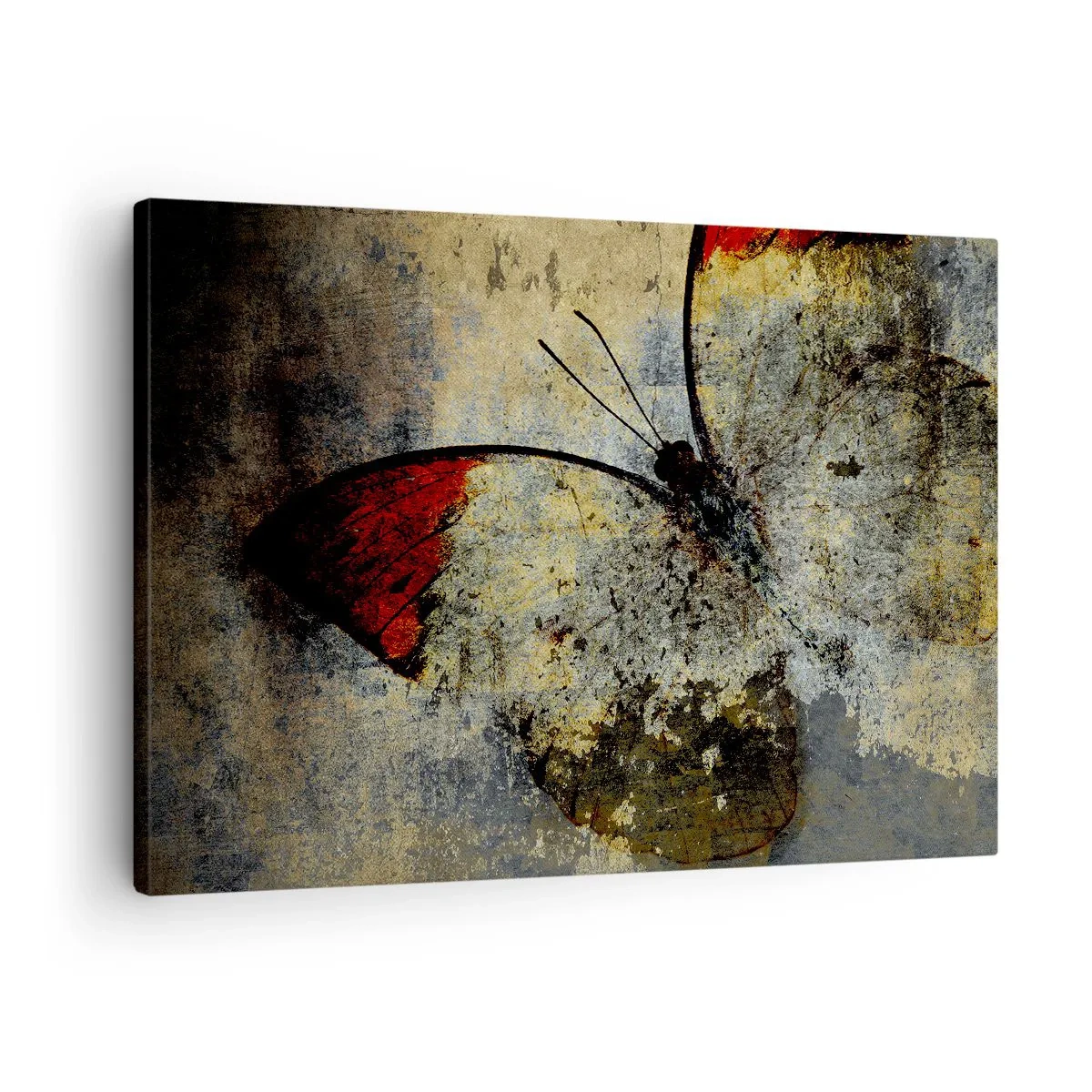 Canvas picture - A butterfly in shades of red and gray on a textured background - 70x50cm - Look before I Disappear - Modern wall decoration for the living room and bedroom ARTTOR