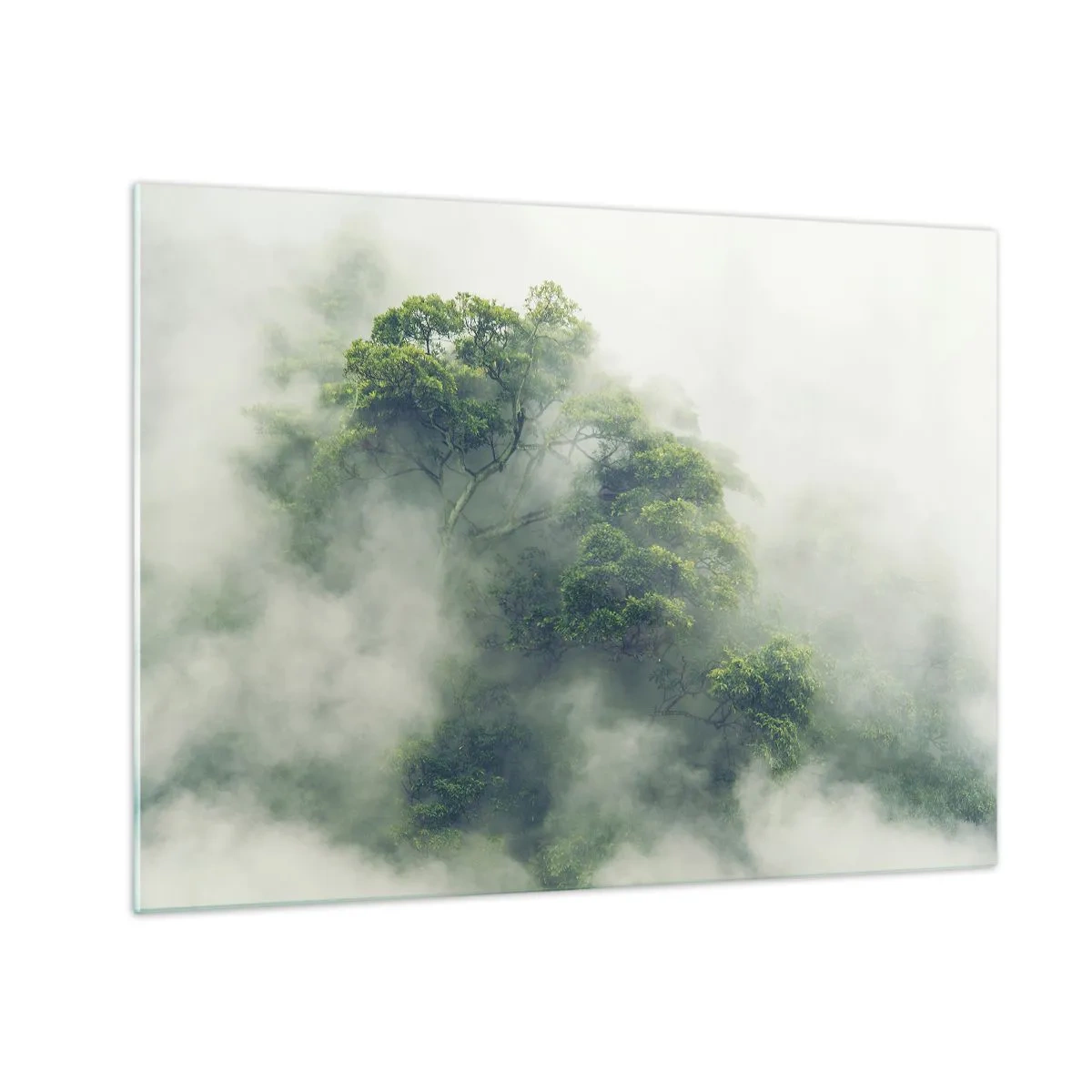 Glass picture - Tropical forest trees emerging from thick fog - 70x50cm - Wrapped In Fog - Modern wall decoration for the living room and bedroom ARTTOR