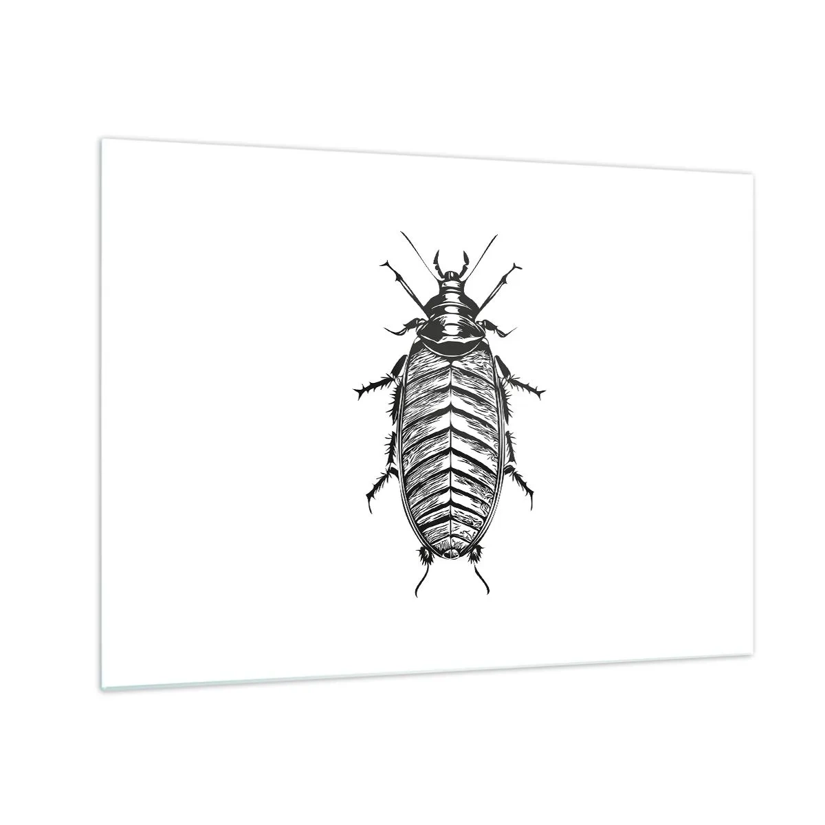 Glass picture - Black and white illustration of an insect on a white background - 70x50cm - What a Specimen - Modern wall decoration for the living room and bedroom ARTTOR
