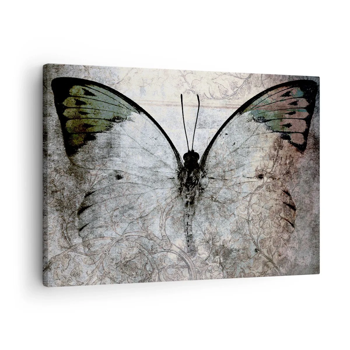 Canvas picture - A butterfly in shades of green and gray on a decorative background - 70x50cm - Secessionist Style - Modern wall decoration for the living room and bedroom ARTTOR