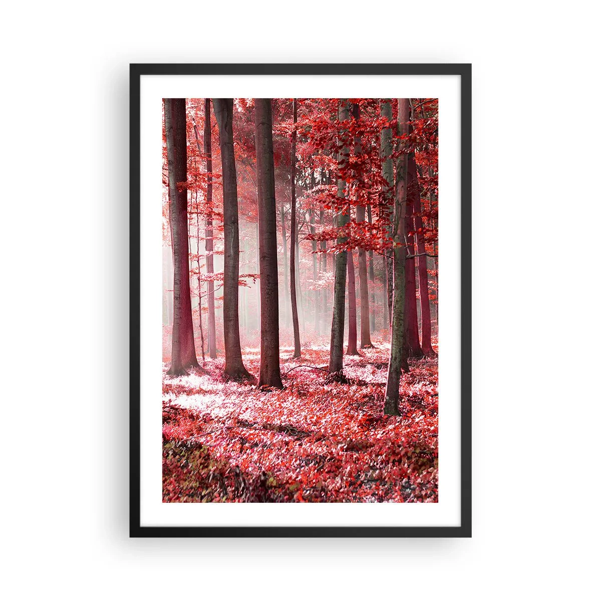 Poster in black frame - A forest with red leaves and fog in the morning - 50x70cm - Red Equally Beautiful - Modern wall decoration for the living room and bedroom ARTTOR