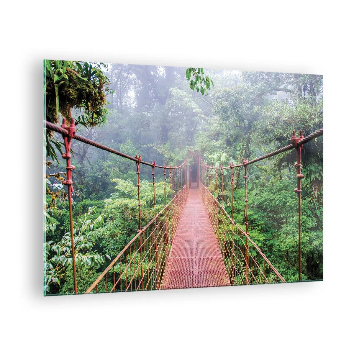 Glass picture - A red suspension bridge over a green jungle in the fog - 70x50cm - Suspended above Crowns - Modern wall decoration for the living room and bedroom ARTTOR