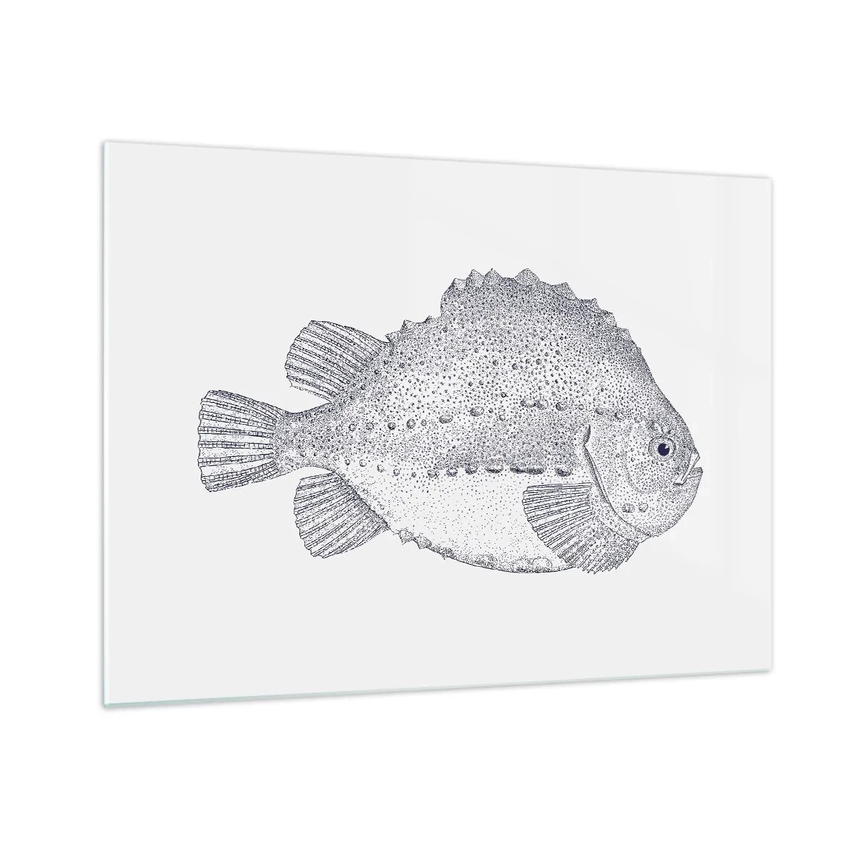 Glass picture - Detailed engraving of a fish on a white background in a nature style - 70x50cm - For Natural Scientist's Album - Modern wall decoration for the living room and bedroom ARTTOR