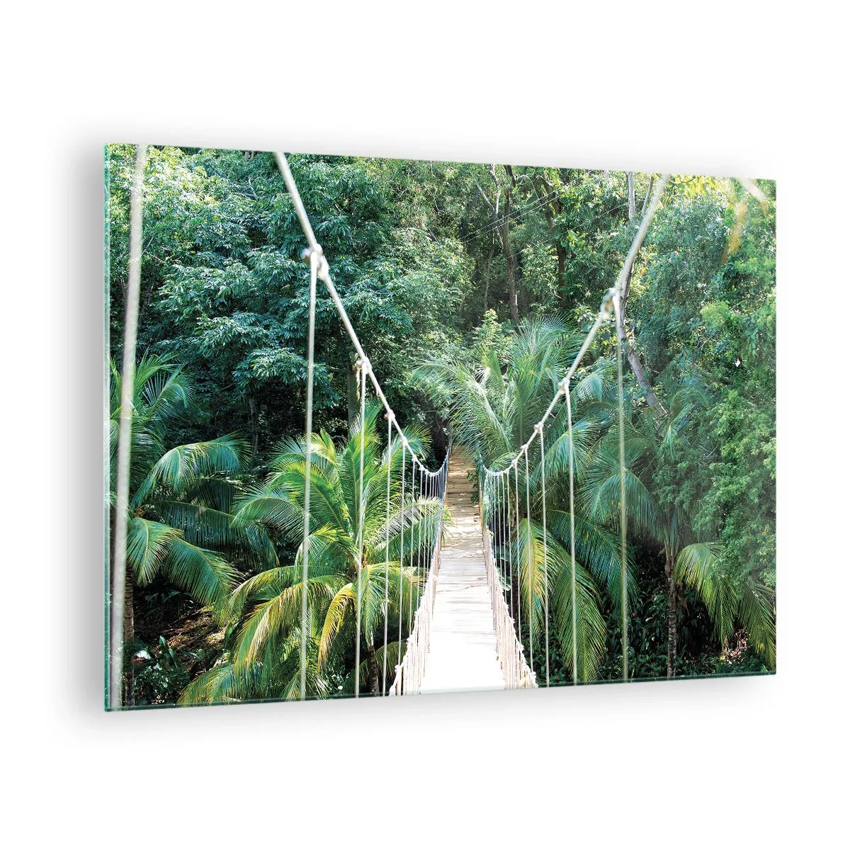 Glass picture - Suspension bridge in a tropical forest - 70x50cm - Welcome to the Jungle! - Modern wall decoration for the living room and bedroom ARTTOR