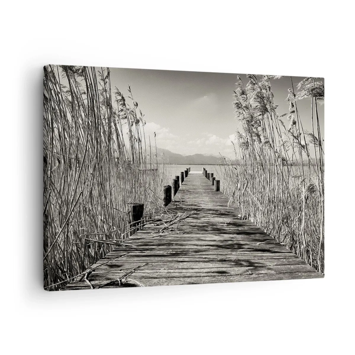 Canvas picture - A wooden jetty among tall grasses over a sepia-toned lake - 70x50cm - In the Grass - Modern wall decoration for the living room and bedroom ARTTOR