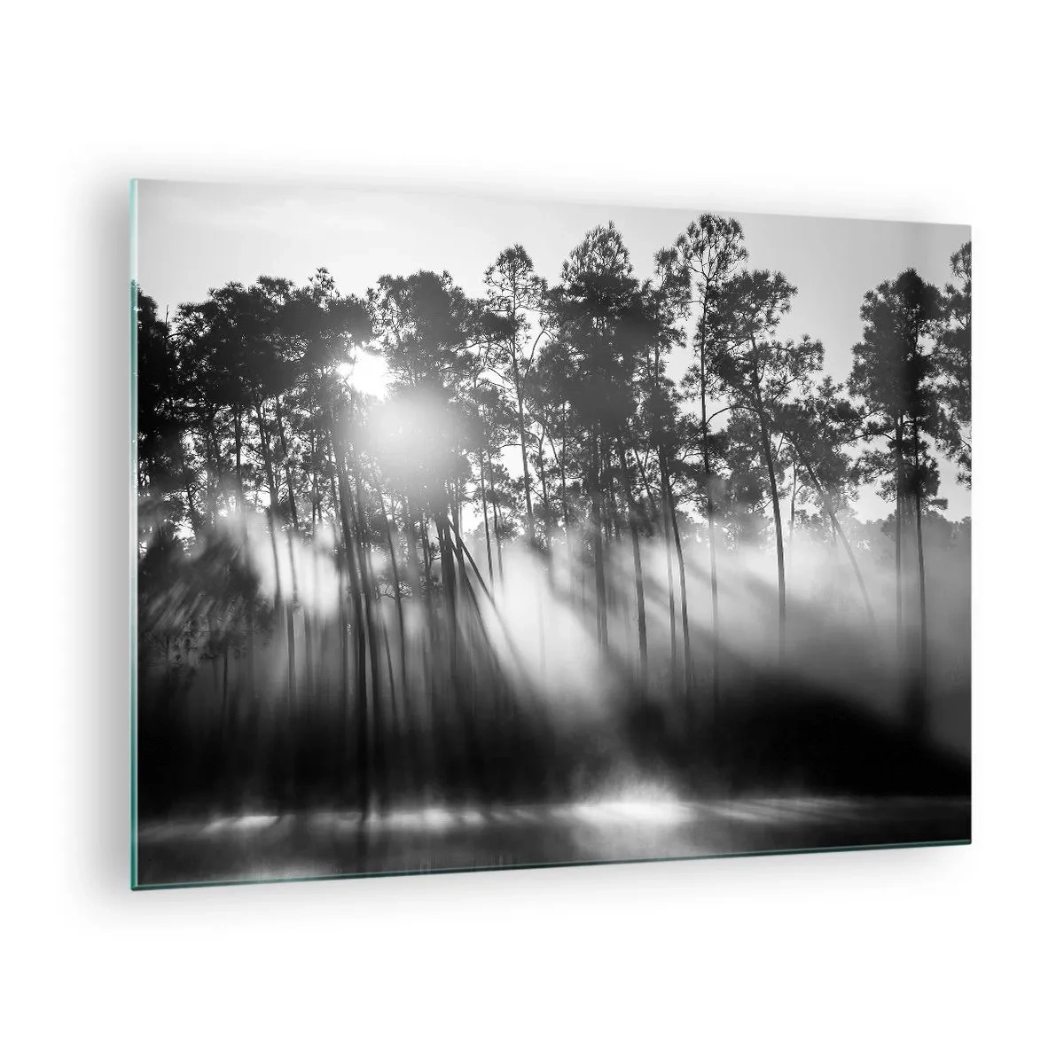 Glass picture - Black and white trees in a forest with sun rays in the haze - 70x50cm - Unstoppable Sun - Modern wall decoration for the living room and bedroom ARTTOR